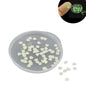 Glow In the Dark Sequins (2 Grams, 1000+ Pieces) 2.5x2.5x0.2 MM Non-Uniform Polygon Radium Fluorescent Pailletes For DIY Crafts Garments Nails