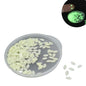 Glow In the Dark Sequins (2 Grams, 1000+ Pieces) 4x2x0.2 MM Oval Decorative Radium Fluorescent Pailletes For DIY Crafts Garments Nails