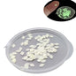 Glow In the Dark Sequins (2 Grams, 1200+ Pieces) 3.5x2x0.2 MM Rhombus Decorative Radium Fluorescent Pailletes For DIY Crafts Garments Nails