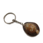 Sea Shell Cowrie Gift Key Chains 3x2x1xcm Oval With Silver Key Chain (Pack of 3 pieces) [ac-artifctcrfts-00001-m1]