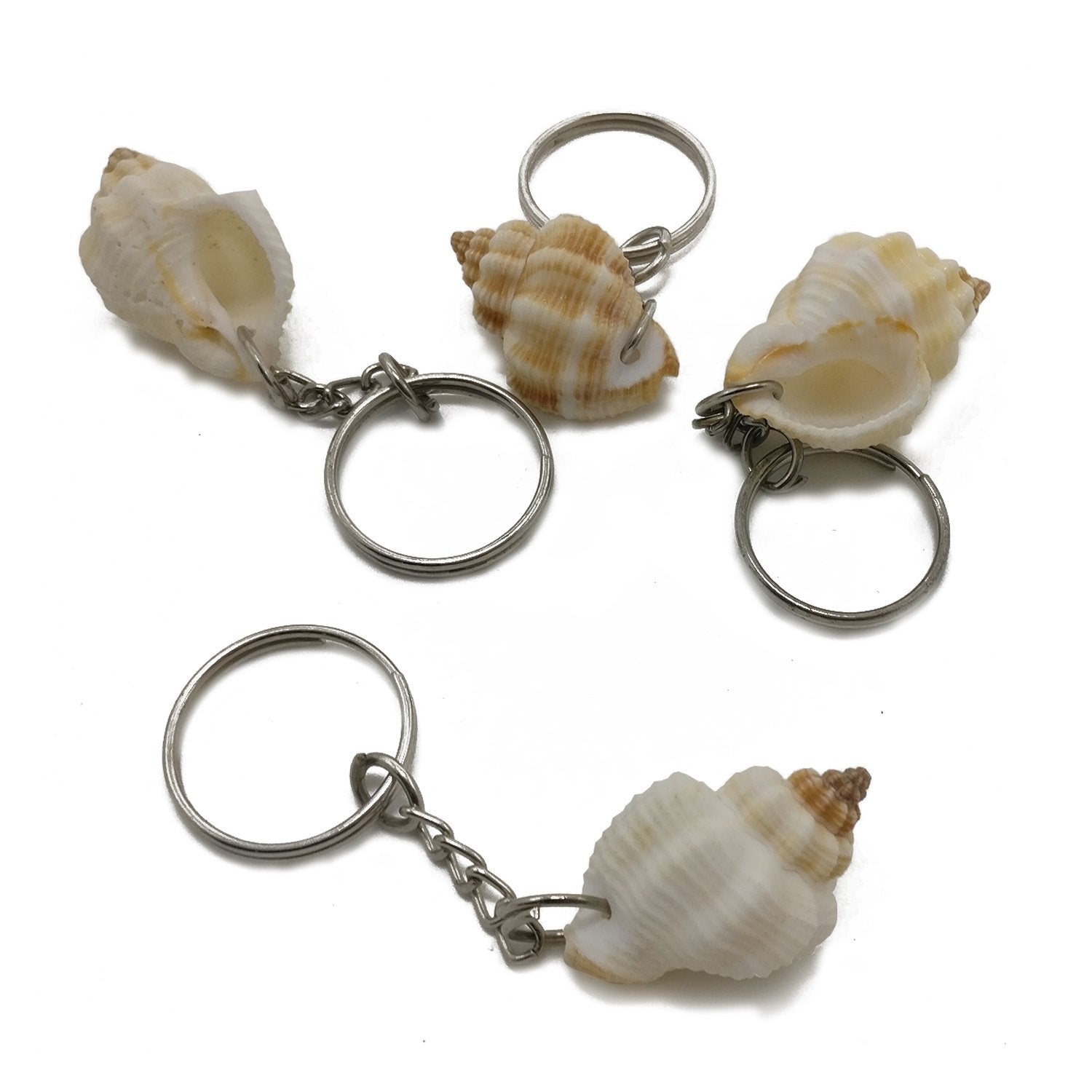 Sea Shell Gift Key Chains 3.5x2x2xcm Twisted White (Pack of 3 pieces) [ac-artifctcrfts-00001-m2]