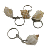 Sea Shell Gift Key Chains 3.5x2x2xcm Twisted White (Pack of 3 pieces) [ac-artifctcrfts-00001-m2]