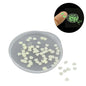 Glow In the Dark Sequins (2 Grams, 1000+ Pieces) Non-Uniform Polygon Decorative Radium Fluorescent Pailletes For DIY Crafts Garments Nails [ac-sewsupp-00008-m2]