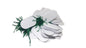 Paper Price Tags 3.5x2cm Oval White (Sold as 1 set, 95-100 Tags/set) [jefs-dispcrdtool-00067-m4]