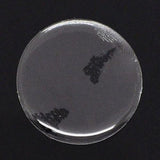 Epoxy Resin Dome Stickers Adhesives Round 30x2 MM (Pack of 10 Pieces) Clear Transparent Color For Jewellery Making DIY Crafts Magnets Photos Drawing Painting [jefs-embelshcabo-00129-m9]
