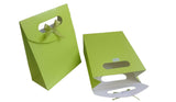 Plain Paper Gift Bags 16x12cm Premium Designer [jefs-giftbagbox-00022]