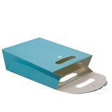 Plain Paper Gift Bags 26x17cm Premium Designer [jefs-giftbagbox-00034]