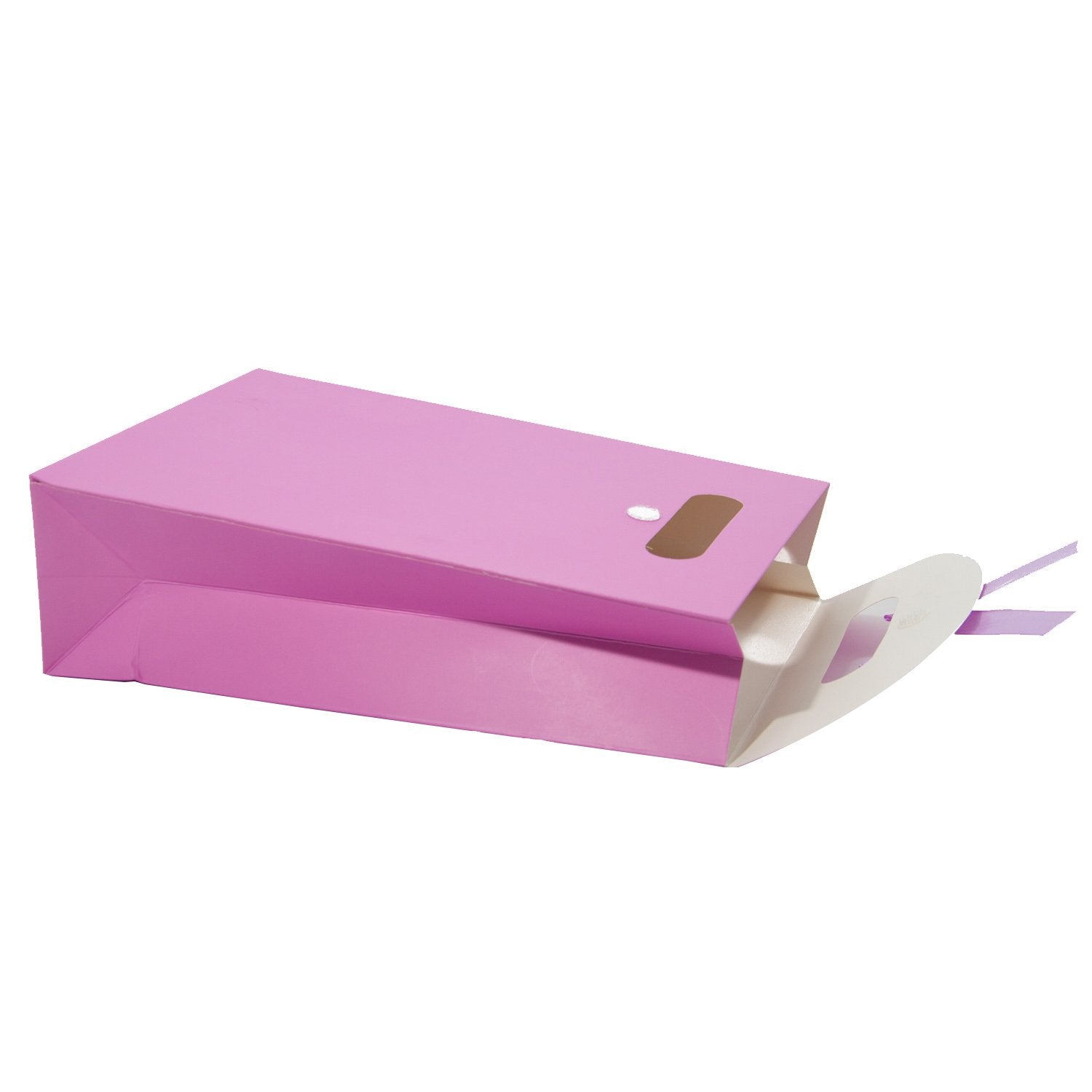 Plain Paper Gift Bags 26x17cm Premium Designer [jefs-giftbagbox-00034]